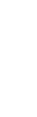  嬉しさが増す一皿