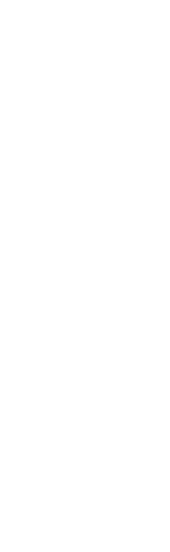 日常では味わえない 楽しさがある