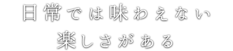 日常では味わえない 楽しさがある